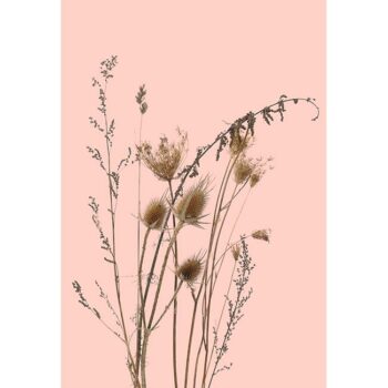 behangpaneel-BREE-roze