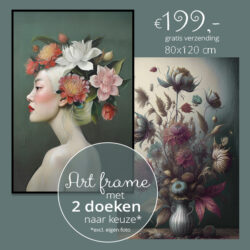 speciale-aanbieding-art-frame-2-doeken