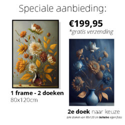 speciale-aanbieding-art-frame-1-frame-2-doeken